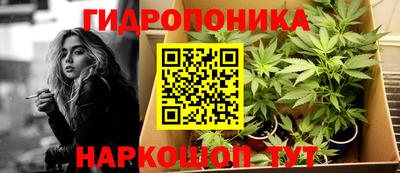 крисы Ипатово