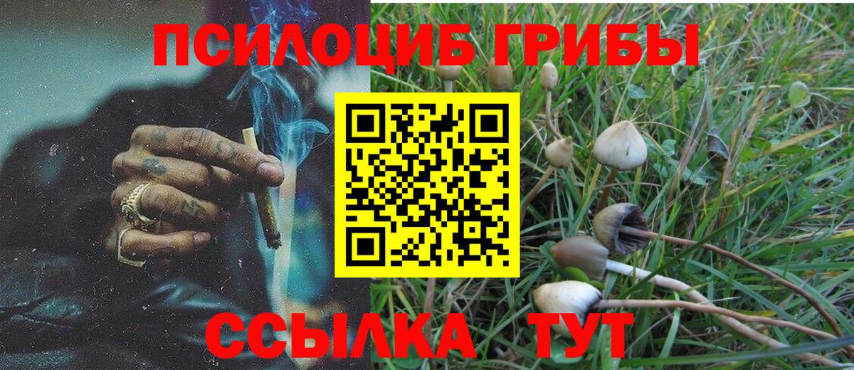 Галлюциногенные грибы Cubensis Геленджик