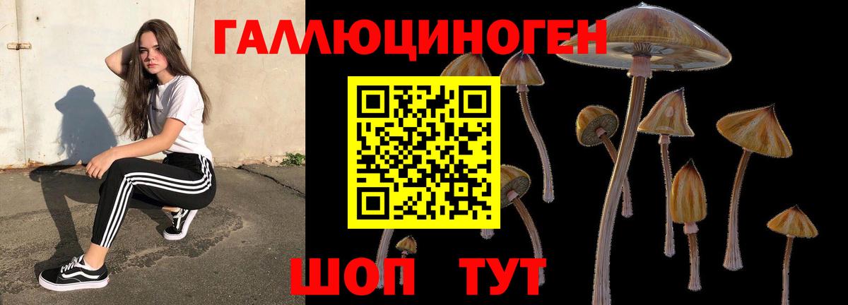 Псилоцибиновые грибы мицелий  Вход с VPN  купить наркоту  Геленджик  Галлюциногенные грибы ЛСД 